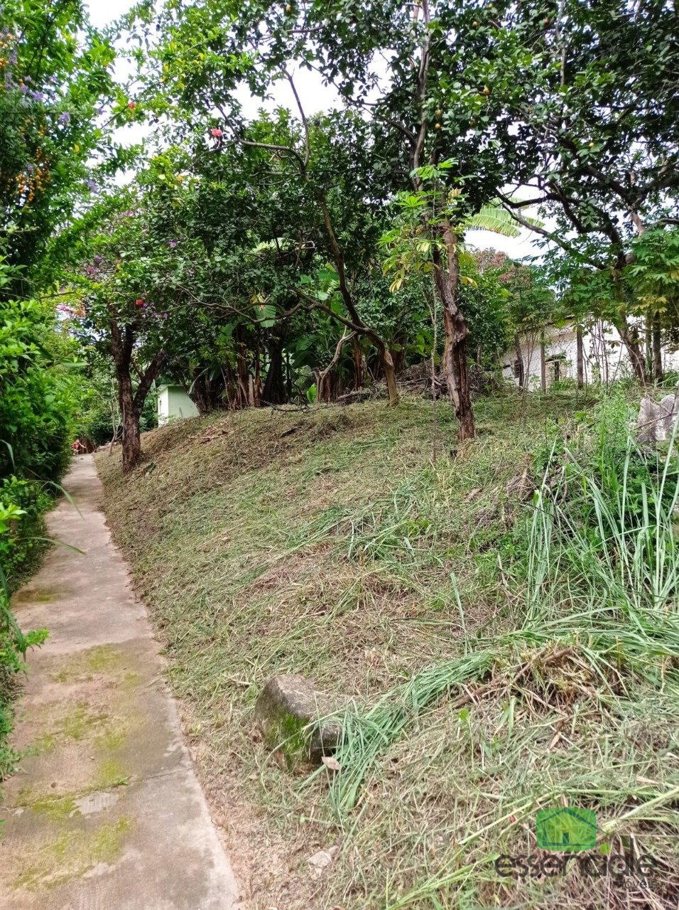 Lote retangular á venda com 2000m² bairro Tijuca - Contagem MG