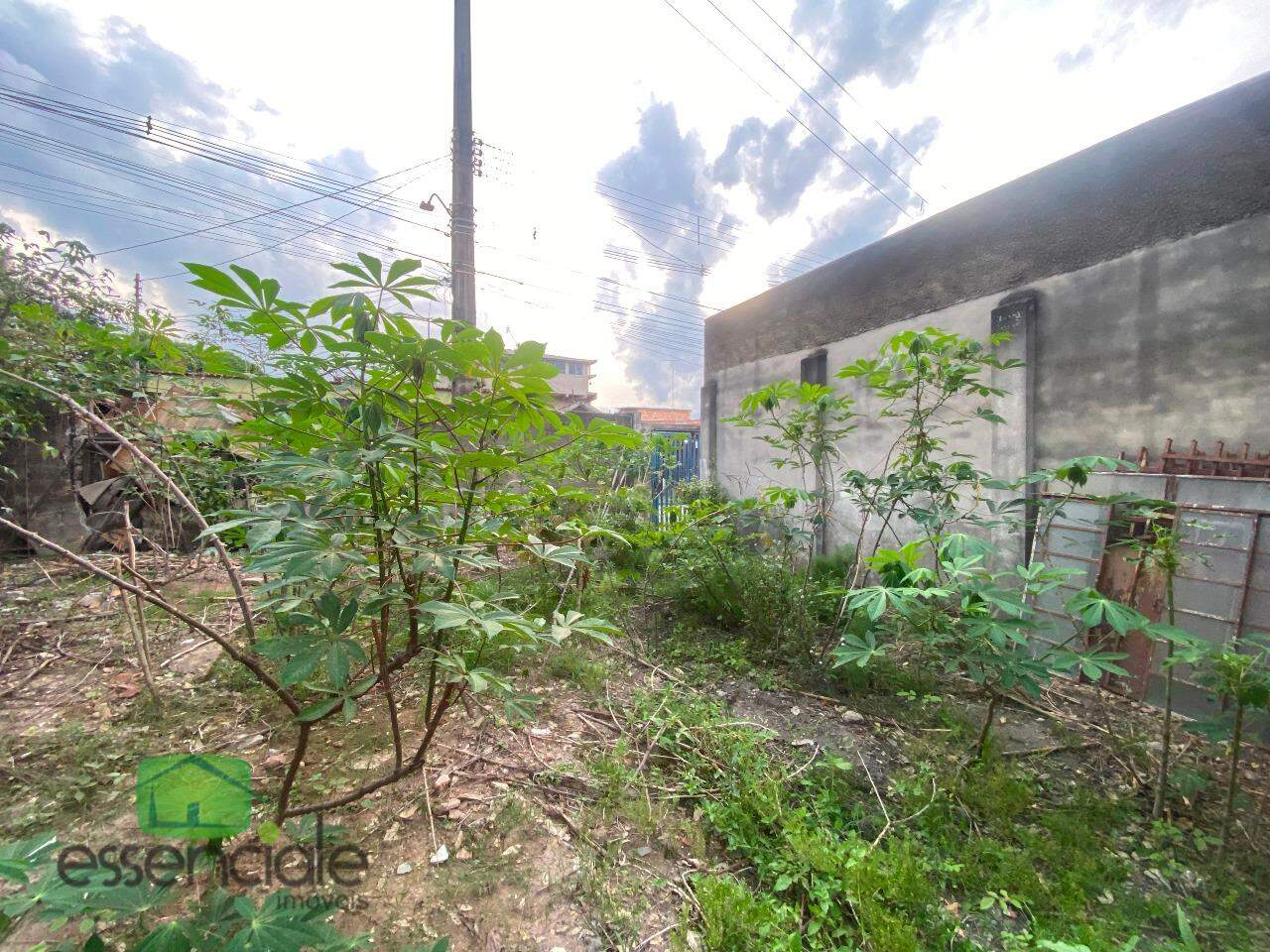 Lote de 1.000 m² no bairro Santa Terezinha à venda por R$ 1.000.000,00