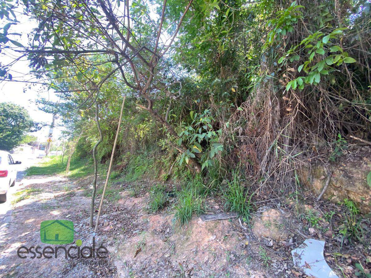 Lote de 372 m² no bairro Europa à venda por R$ 223.200