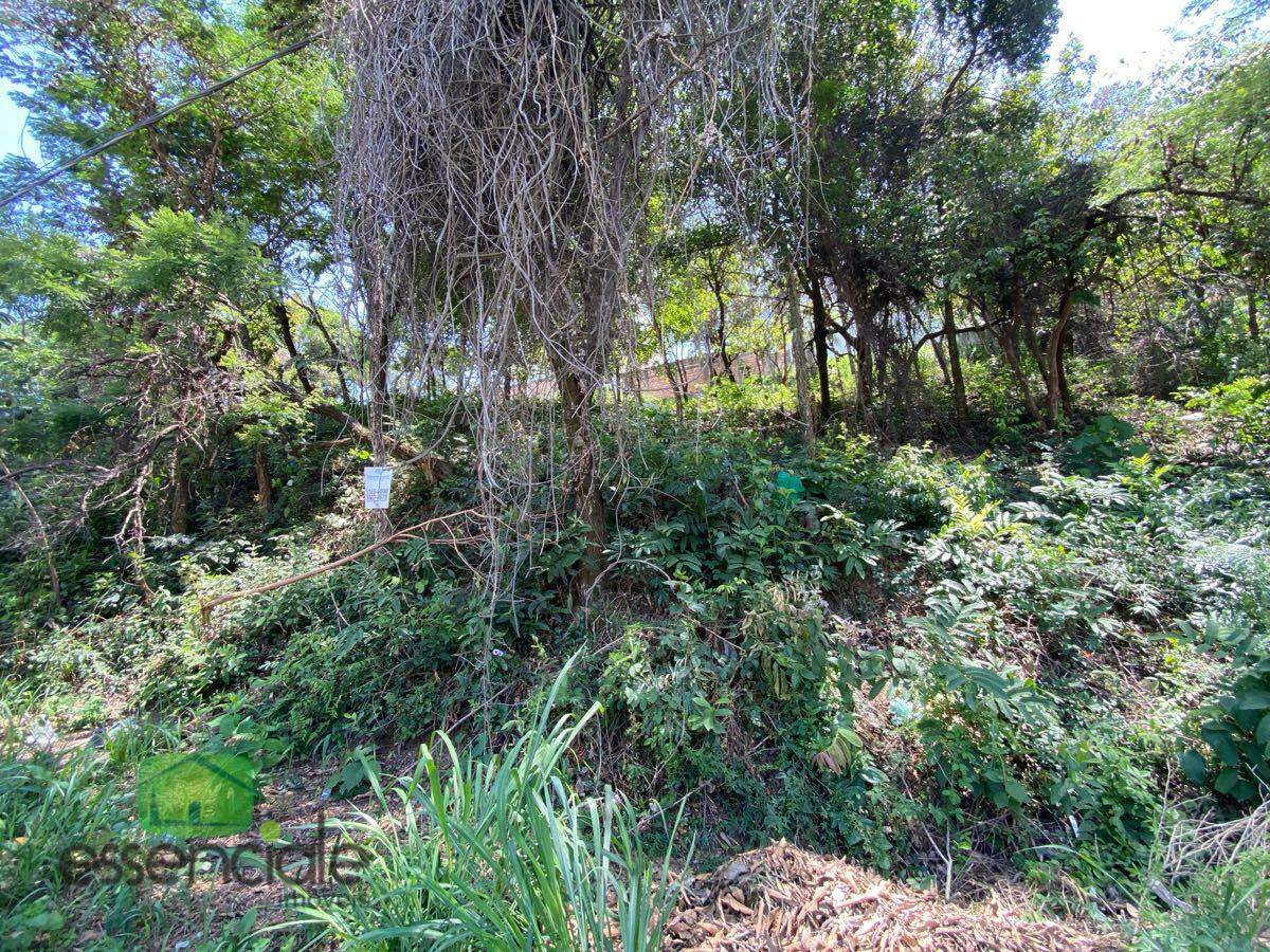 Lote de 372 m² no bairro Europa à venda por R$ 223.200