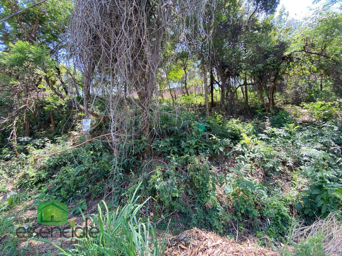 Lote de 372 m² no bairro Europa à venda por R$ 223.200