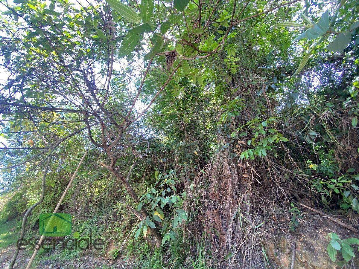 Lote de 372 m² no bairro Europa à venda por R$ 223.200