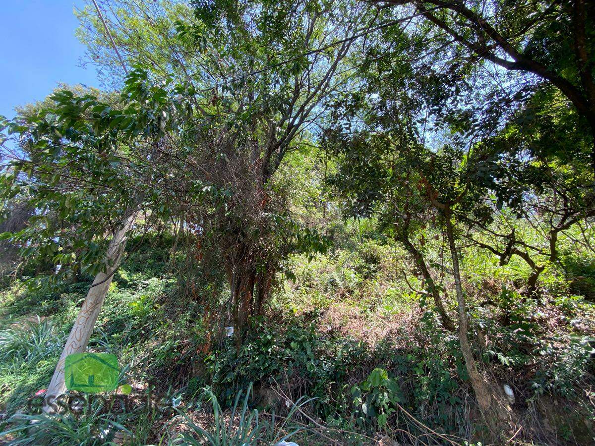 Lote de 372 m² no bairro Europa à venda por R$ 223.200