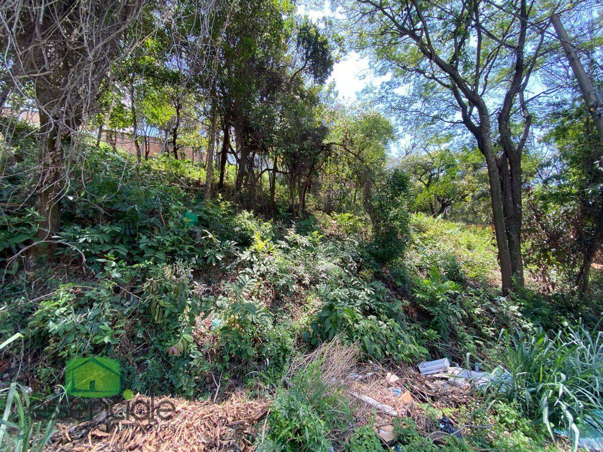 Lote de 372 m² no bairro Europa à venda por R$ 223.200