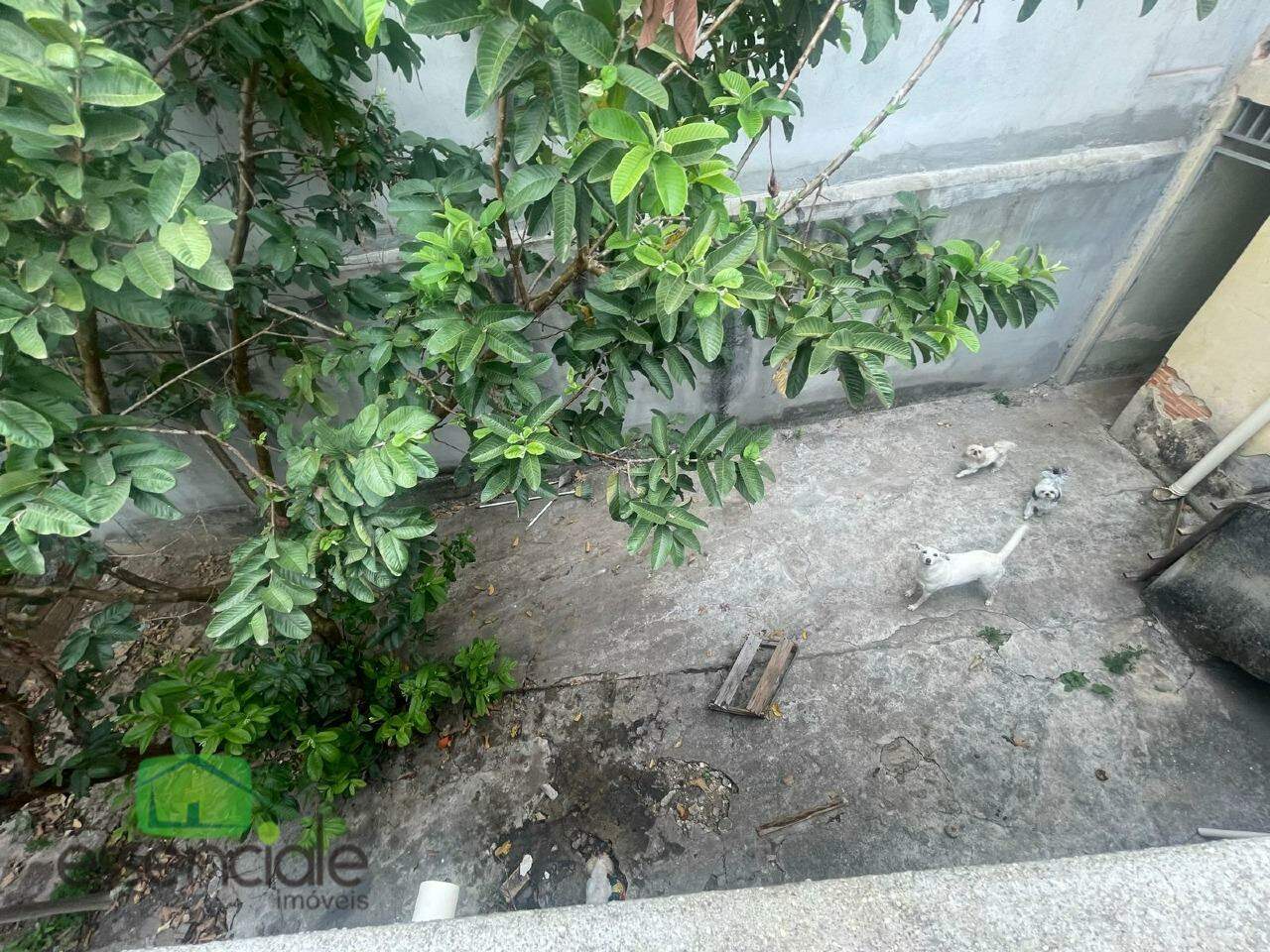 Casa à venda com 3 quartos e 2 barracões no quintal – Contagem