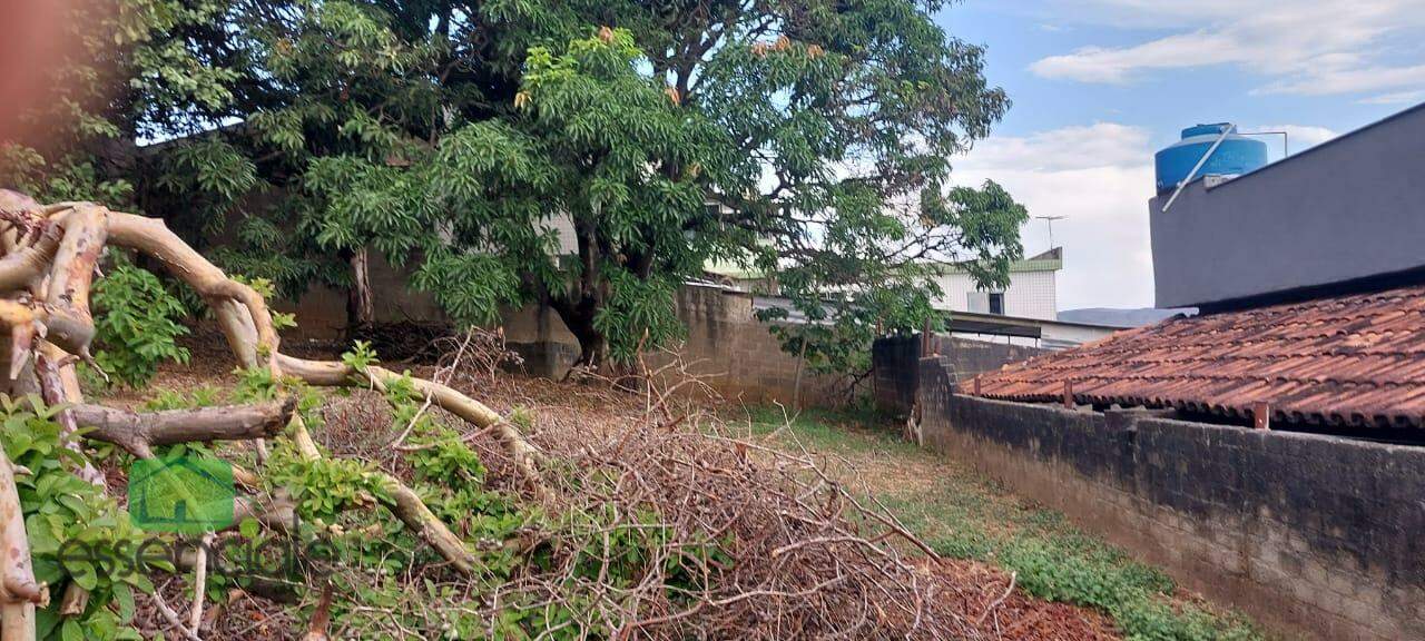 Lote bairro Milionários